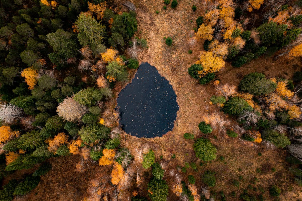 Tourbières du Parc du Haut-Jura