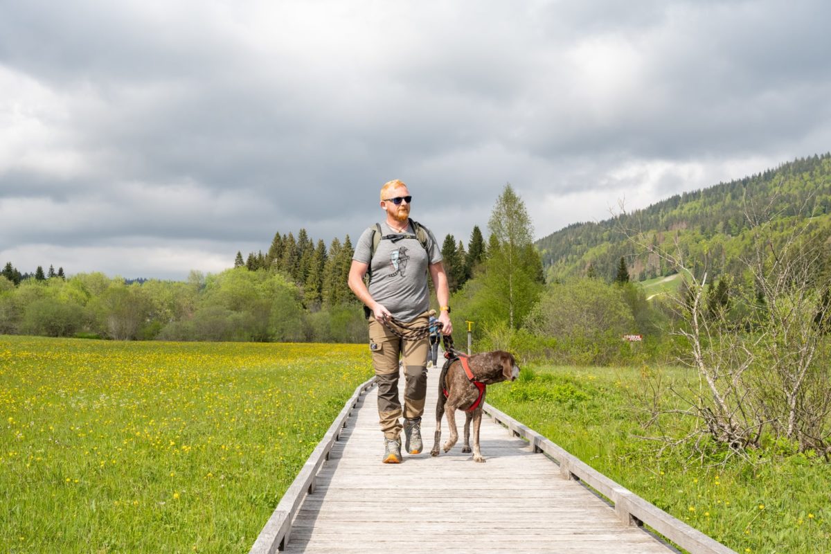 randonner avec mon chien